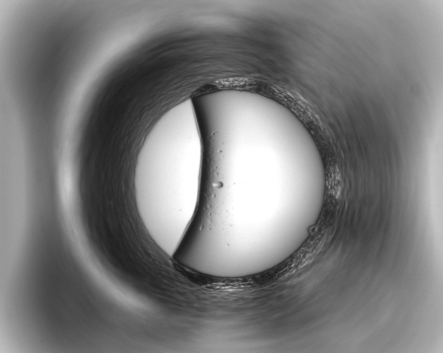 X0000096420763200801241003