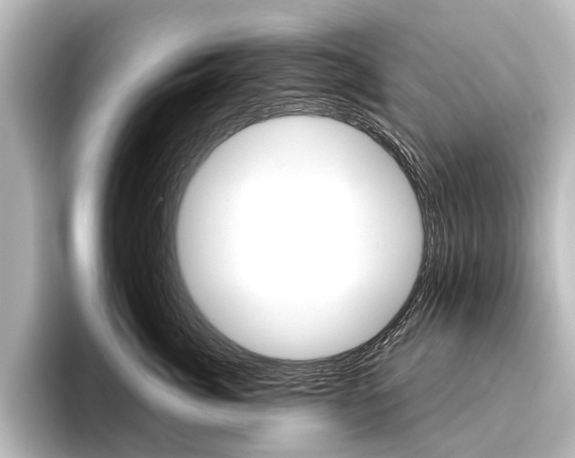 X0000096420764200801241003