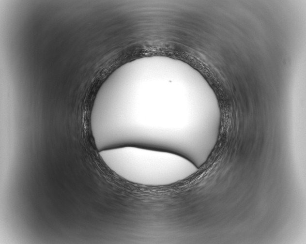 X0000096420770200801241003