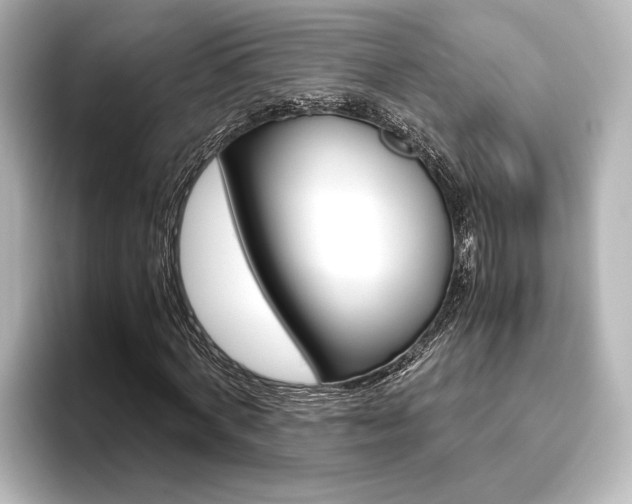 X0000096420772200801241003