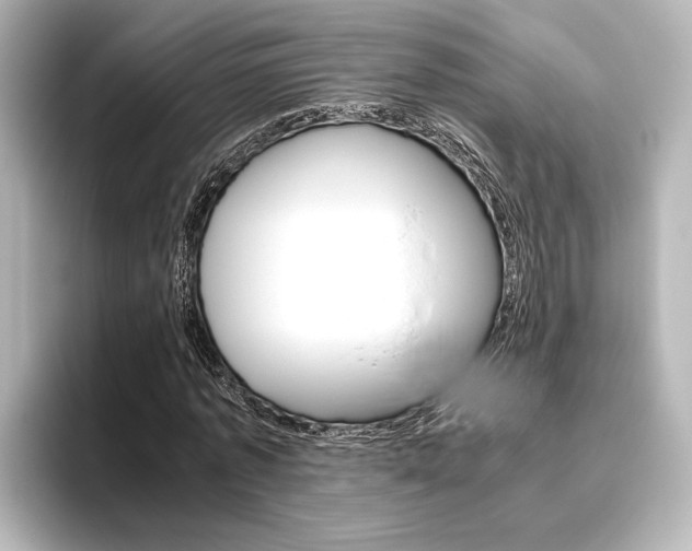 X0000096420773200801241003
