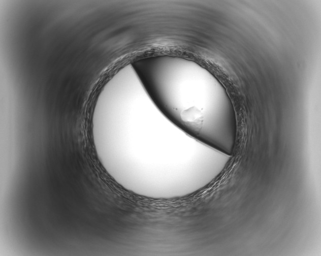 X0000096420776200801241003