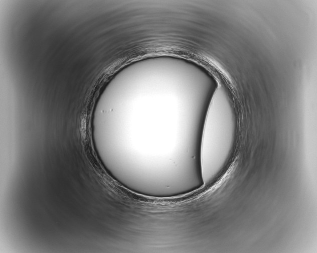 X0000096420777200801241003
