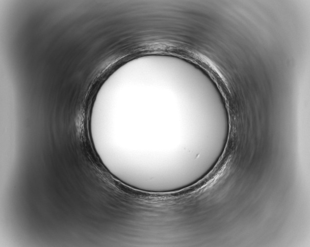 X0000096420778200801241003