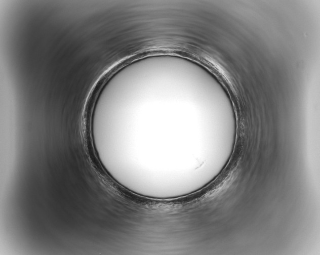 X0000096420779200801241002