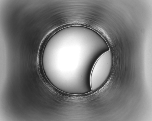 X0000096420780200801241002