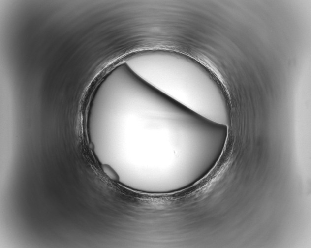 X0000096420781200801241002