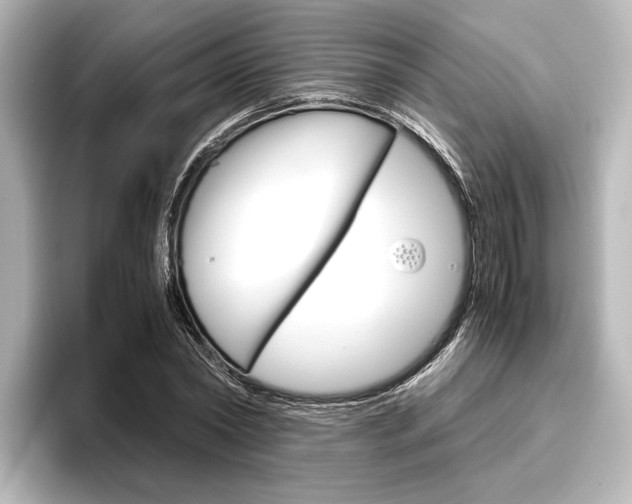 X0000096420782200801241002