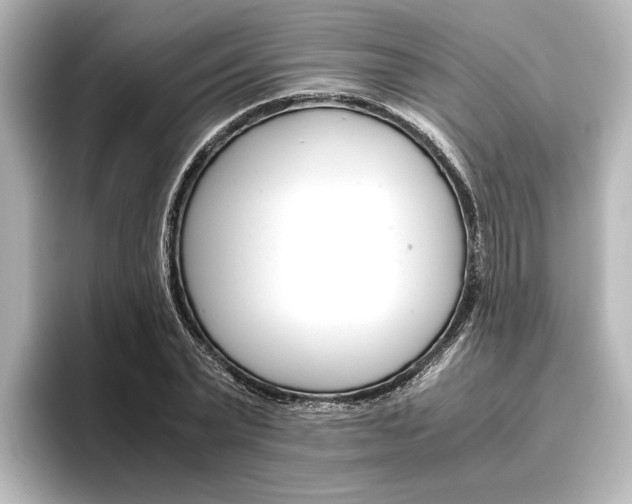 X0000096420783200801241002