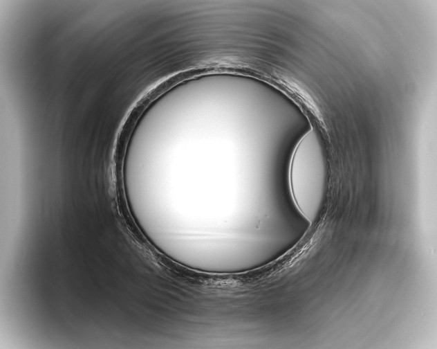 X0000096420784200801241002