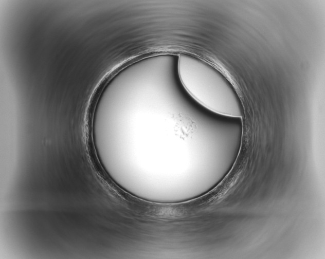 X0000096420787200801241002