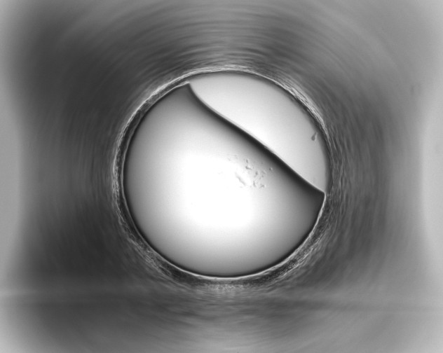 X0000096420789200801241002