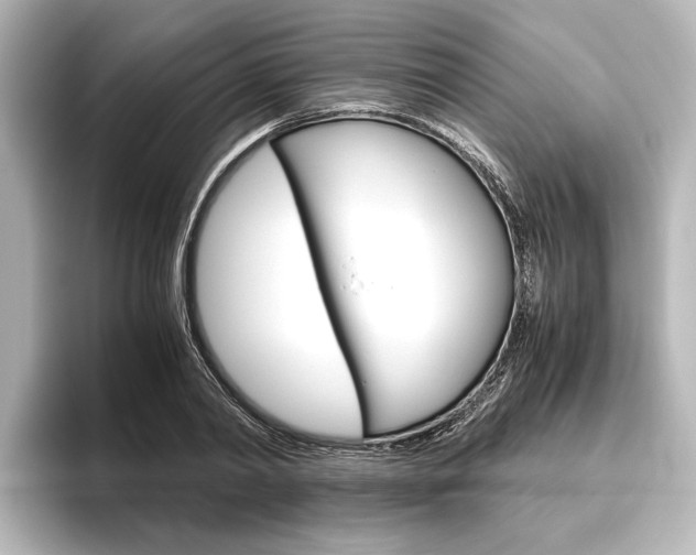 X0000096420790200801241002