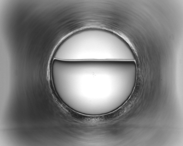 X0000096420791200801241002