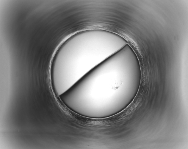 X0000096420792200801241002