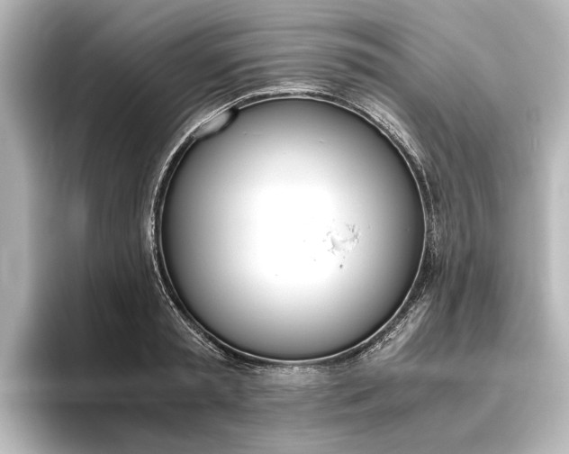 X0000096420797200801241002