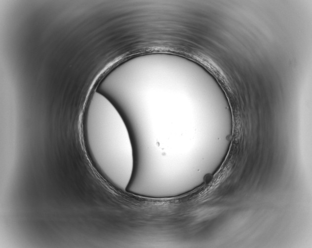 X0000096420798200801241002