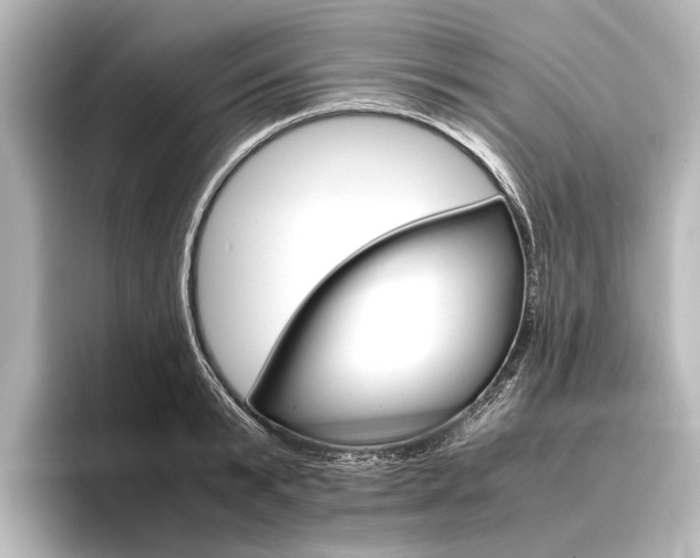X0000096420799200801241002