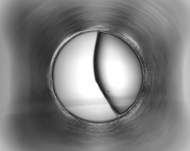 X0000096420800200801241002