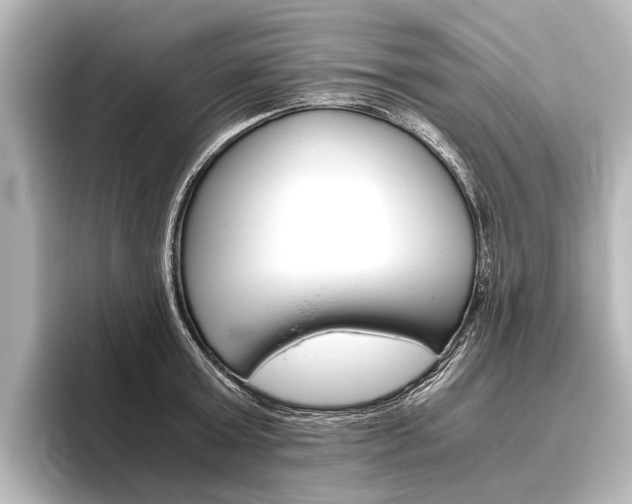 X0000096420803200801241002