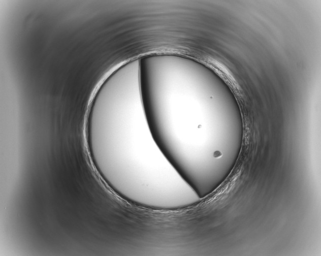 X0000096420804200801241002