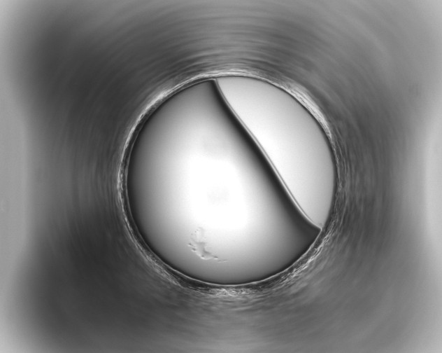 X0000096420805200801241002