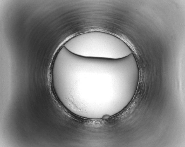 X0000096420806200801241002