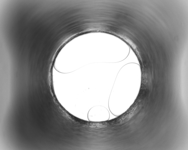 X0000096420807200801241002