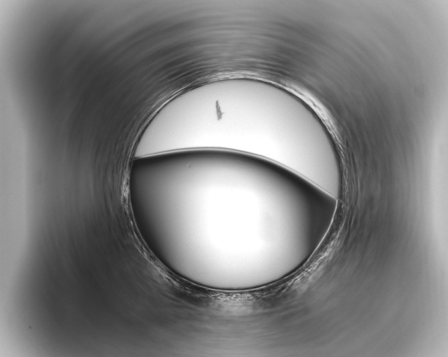 X0000096420809200801241002