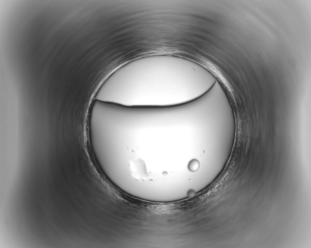 X0000096420810200801241002