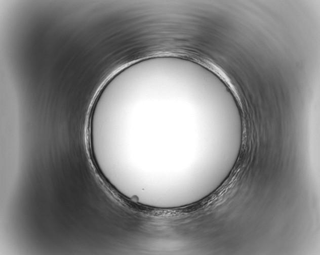 X0000096420811200801241002