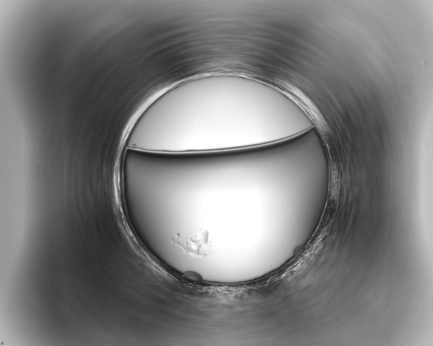 X0000096420812200801241002