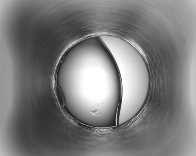 X0000096420813200801241002