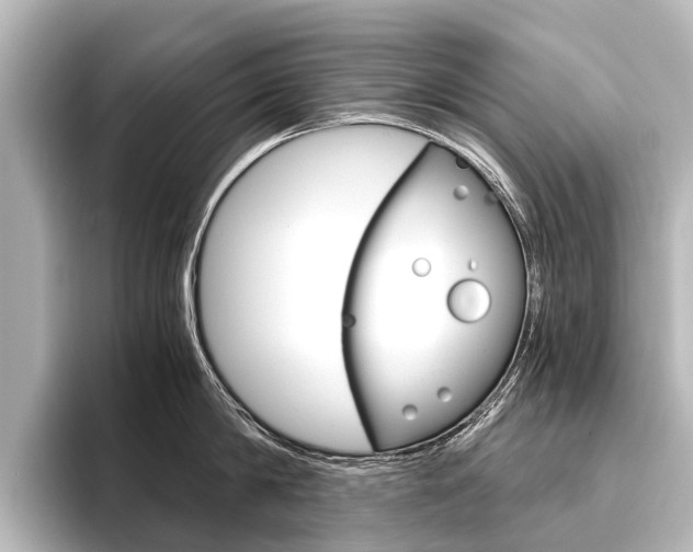 X0000096420814200801241002