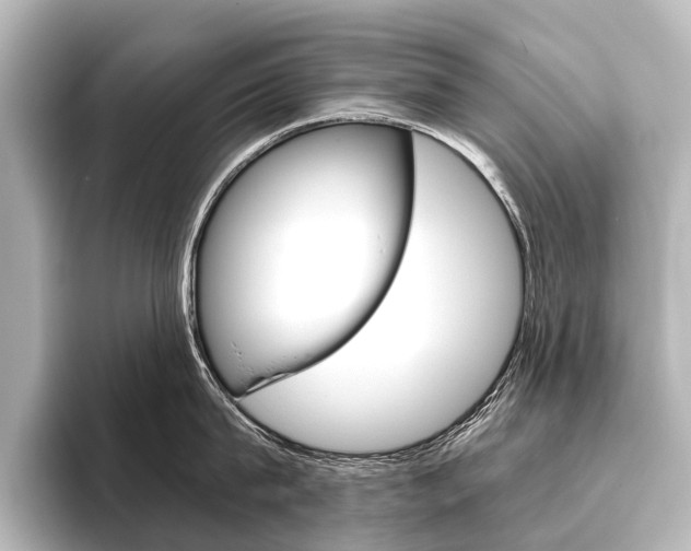 X0000096420815200801241002