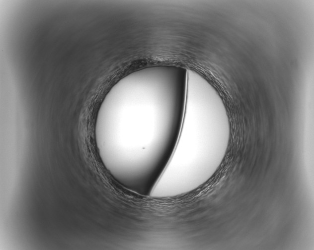 X0000096420817200801241001