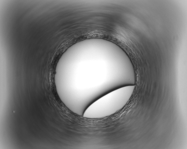 X0000096420819200801241001