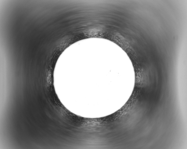 X0000096420820200801241001
