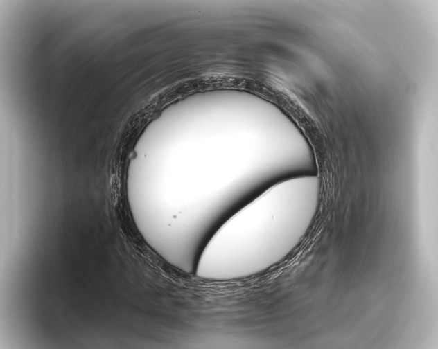 X0000096420821200801241001