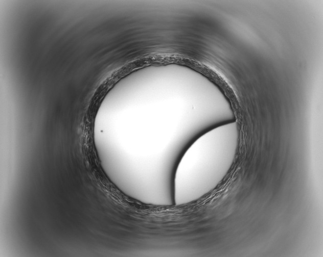 X0000096420823200801241001