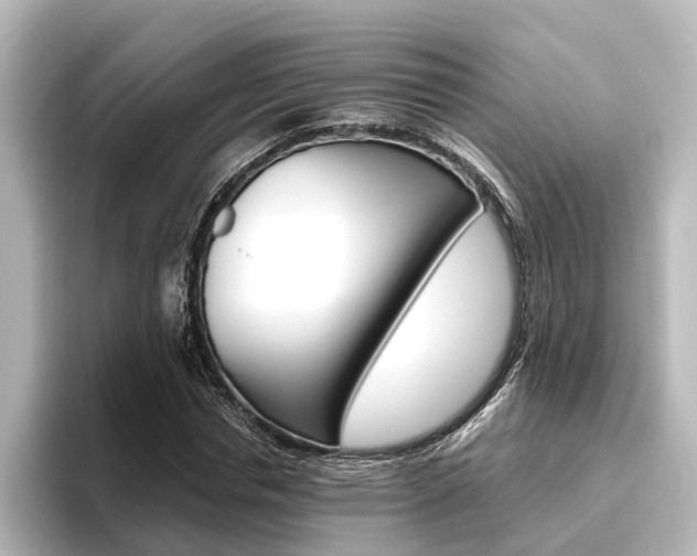 X0000096420826200801241002