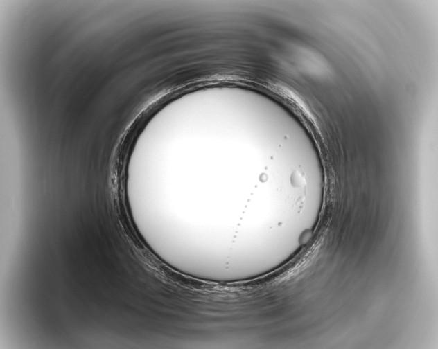 X0000096420827200801241002