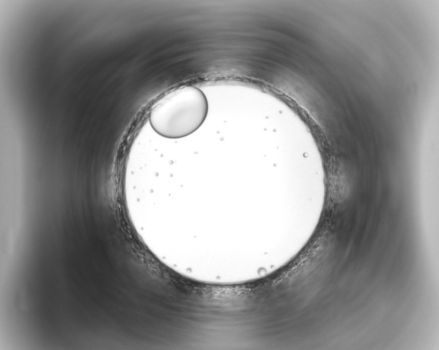 X0000096420832200801241002