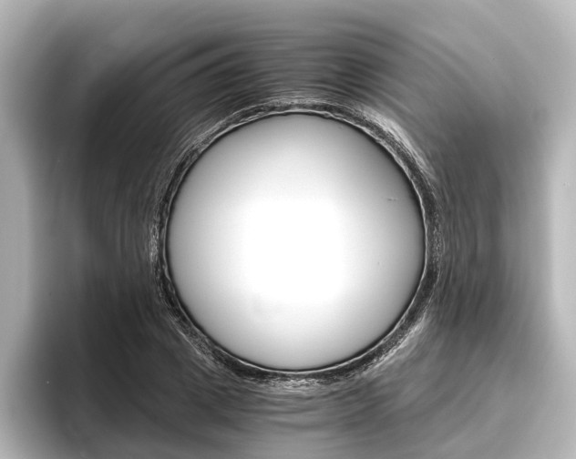 X0000096420833200801241002