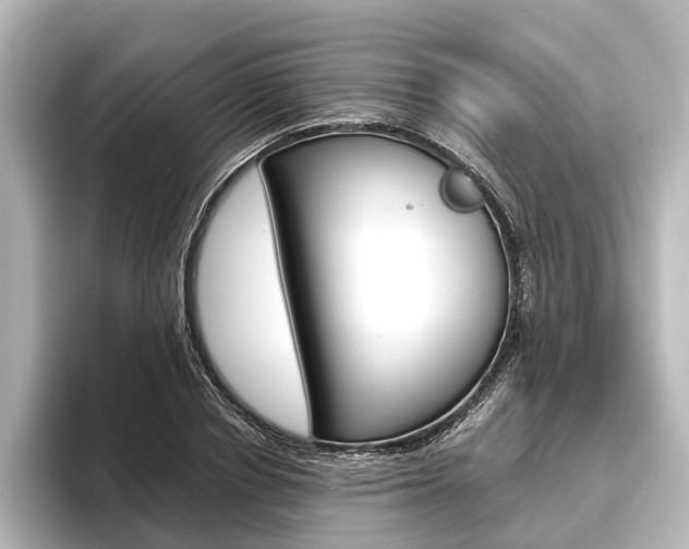 X0000096420834200801241002