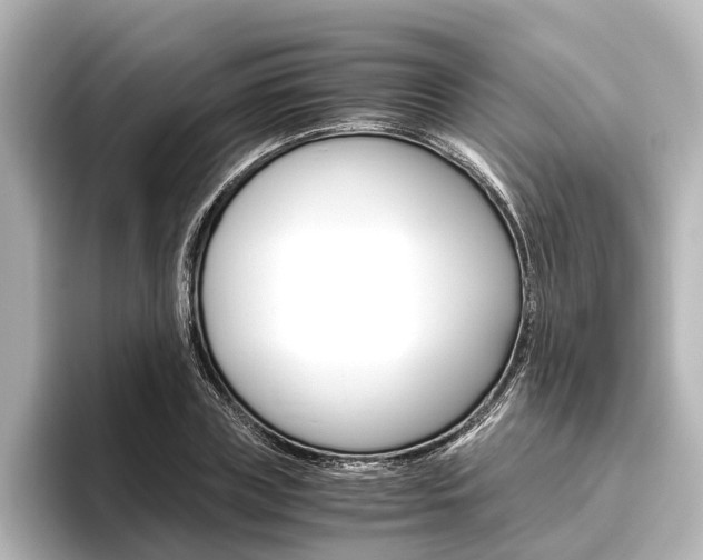 X0000096420835200801241002