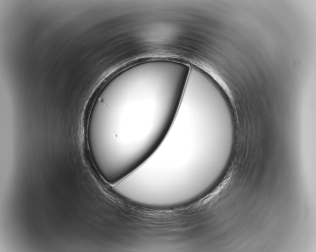 X0000096420837200801241002