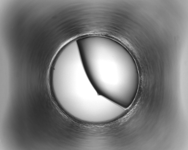 X0000096420838200801241002