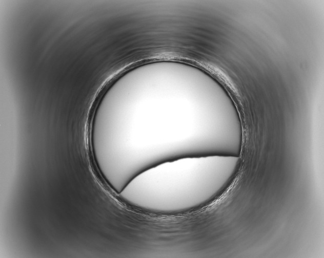 X0000096420839200801241002