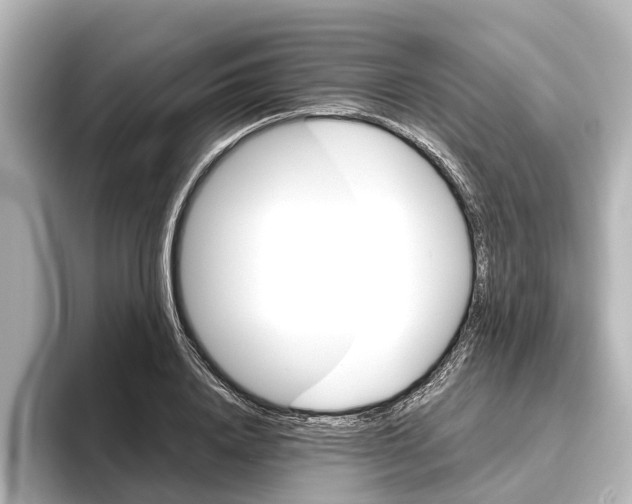 X0000096420840200801241002
